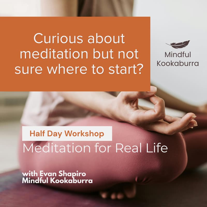 Cover Image for Meditation for Real Life