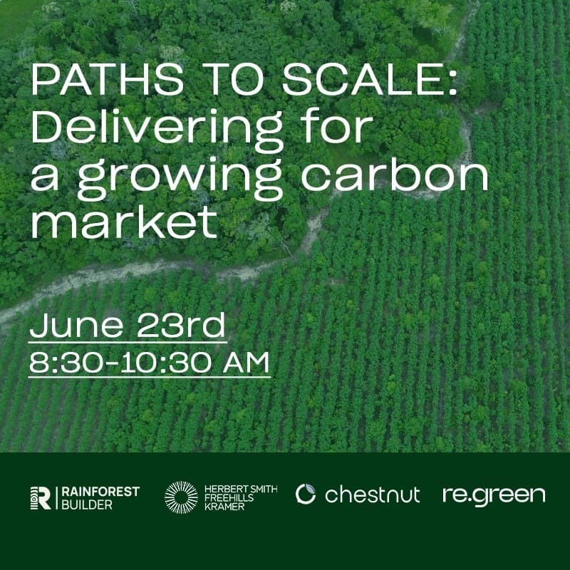 Cover Image for Paths to Scale: Delivering for a growing carbon market