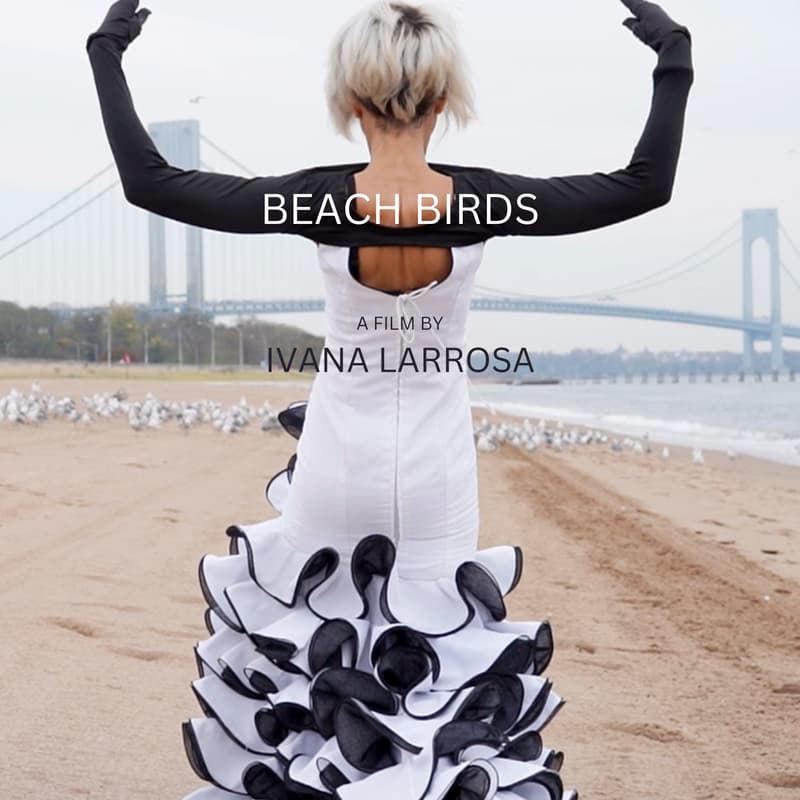 Cover Image for Beach Birds Film + Director Q&A