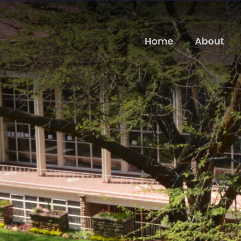 Cover Image for Strathmore School Class of 1986 Reunion