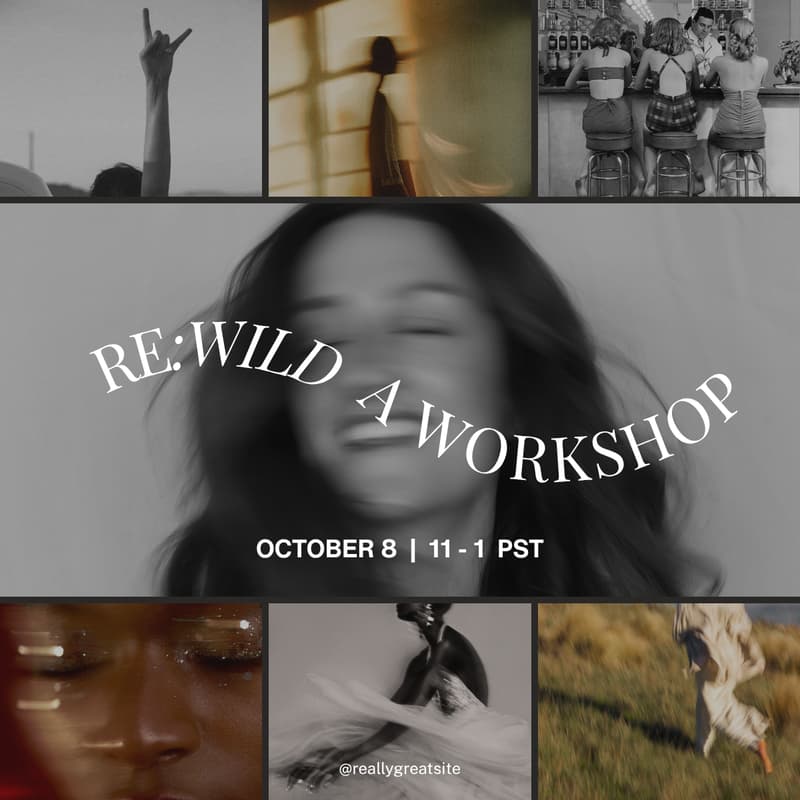 Cover Image for RE:WILD WORKSHOP