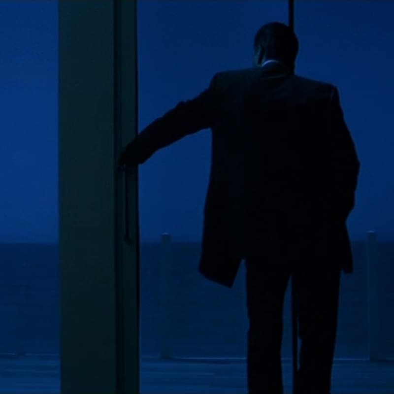 Cover Image for NEVER SEEN ON SCREEN: HEAT (1995)