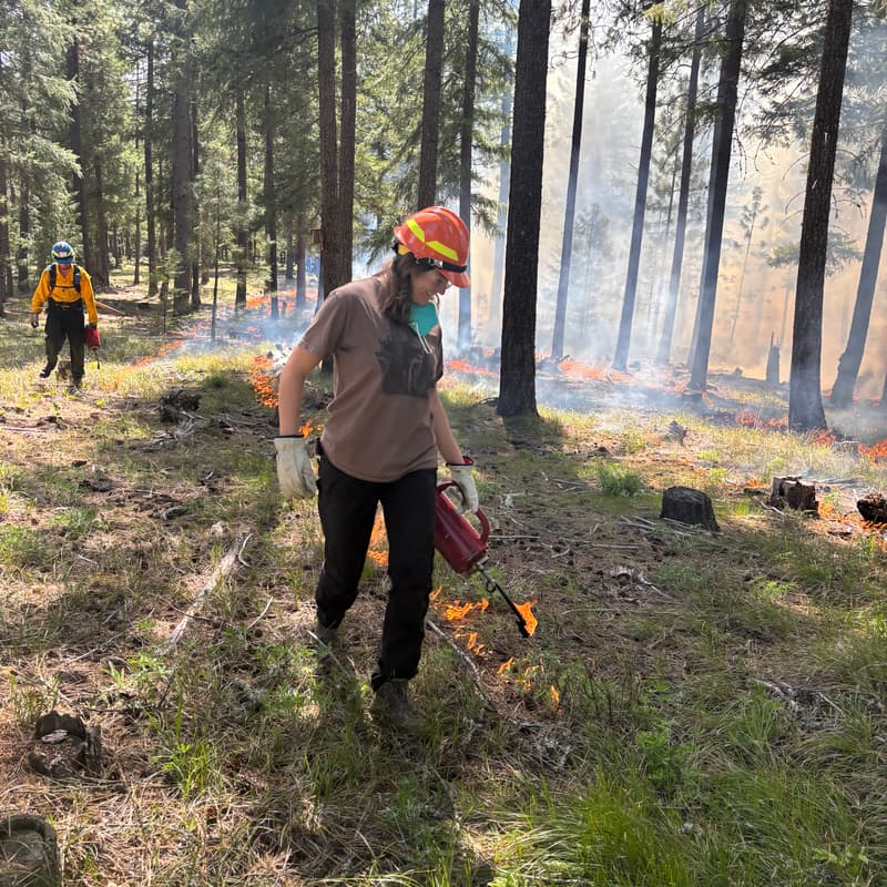 Cover Image for Prescribed Fire Ignitions for Ecological Outcomes