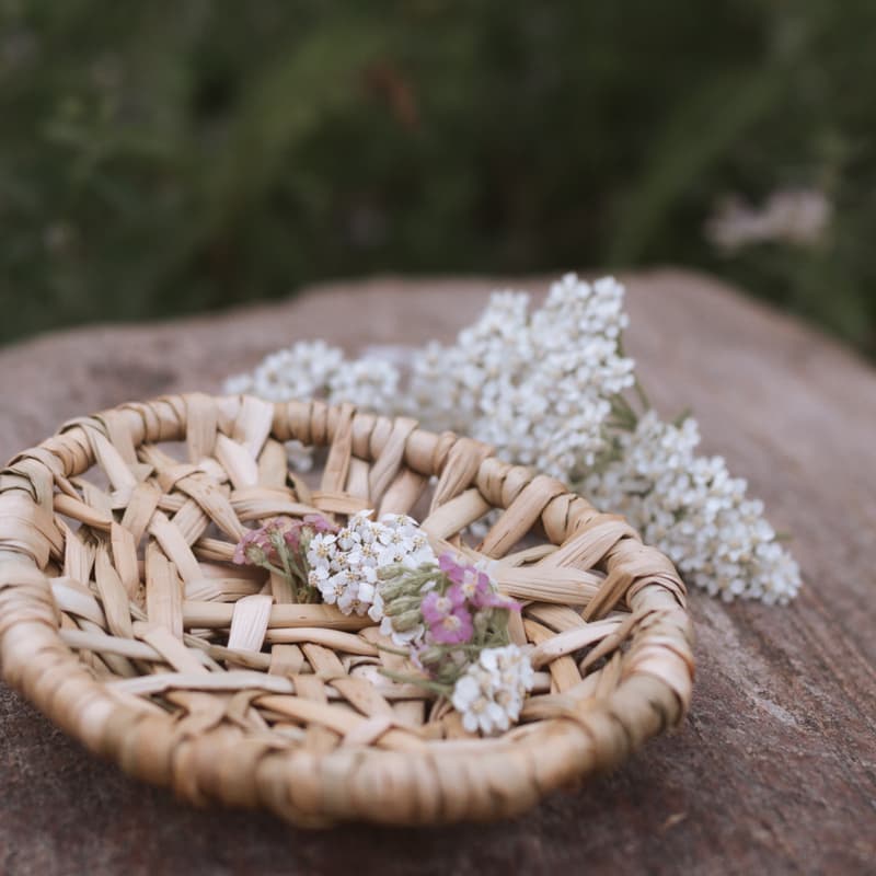 Cover Image for Random Weave with Bulrush