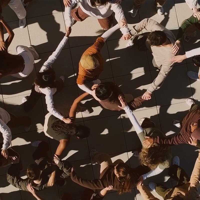 Cover Image for Movement for Everybody!