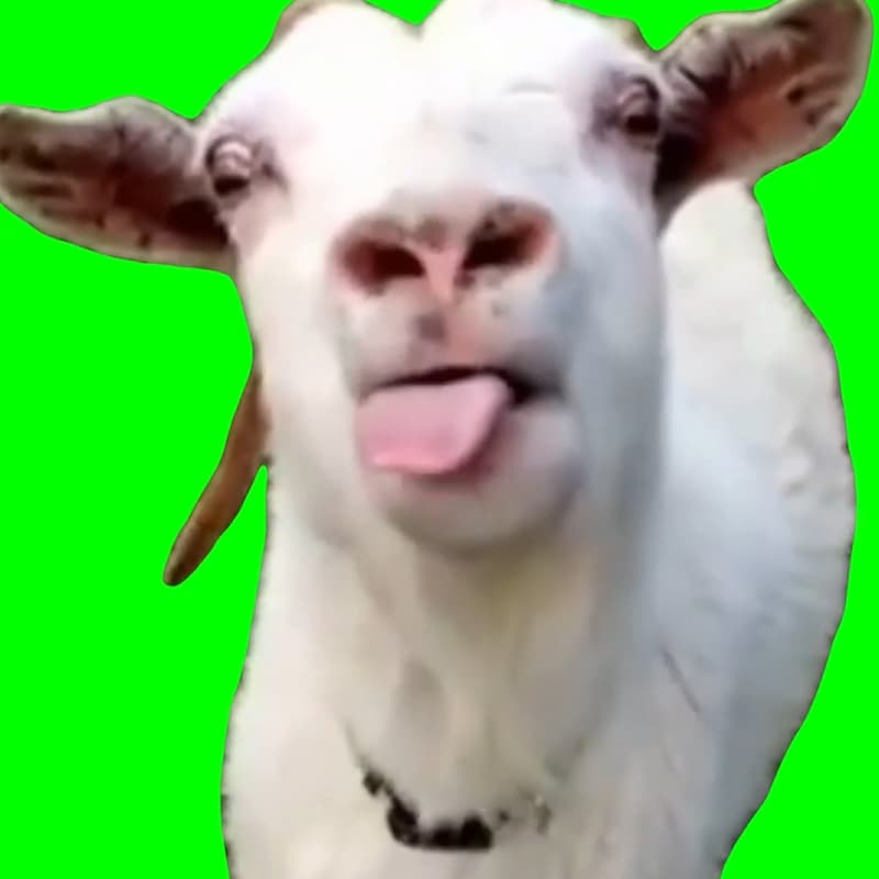Cover Image for Goat Crashers with Jacquelyn