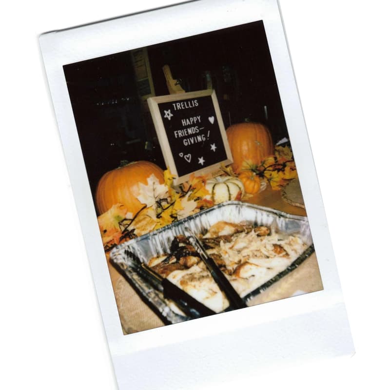 Cover Image for Member Lunch: Friendsgicing Potluck!