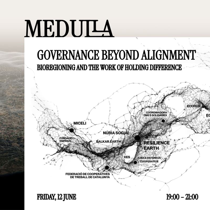 Cover Image for Governance Beyond Alignment: Bioregioning and the Work of Holding Difference