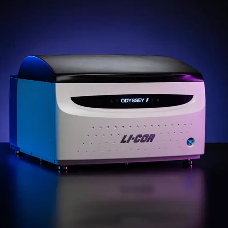 Cover Image for Licorbio Odyssey F Training