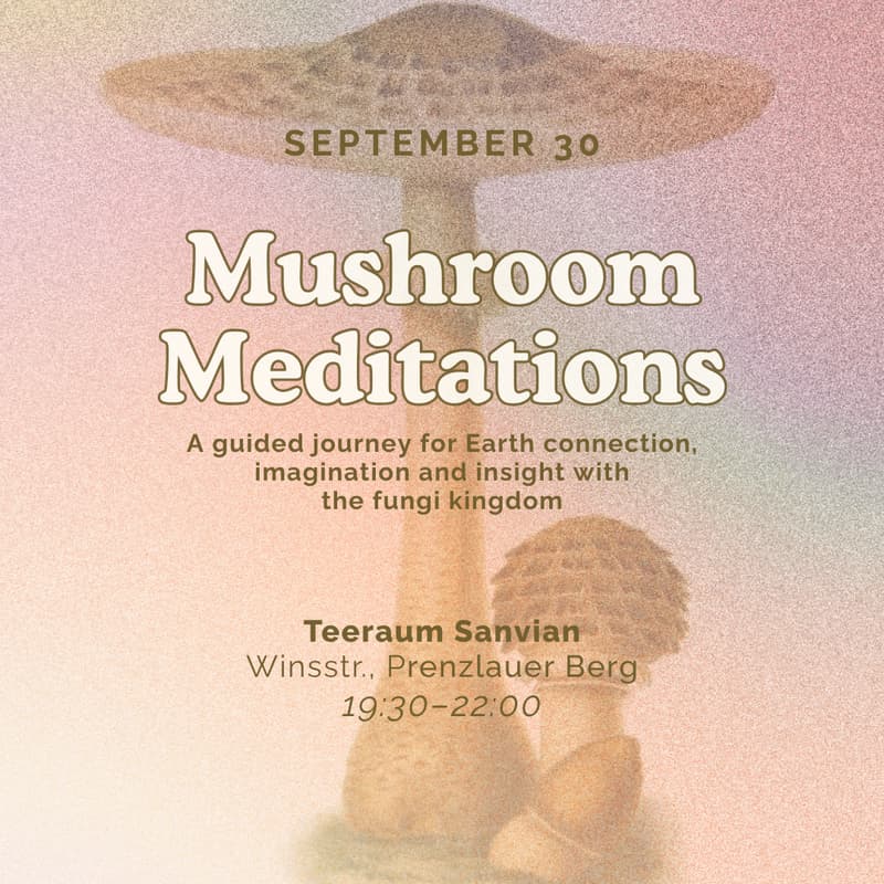 Cover Image for Mushroom Meditations: A guided journey for Earth connection, imagination and insight