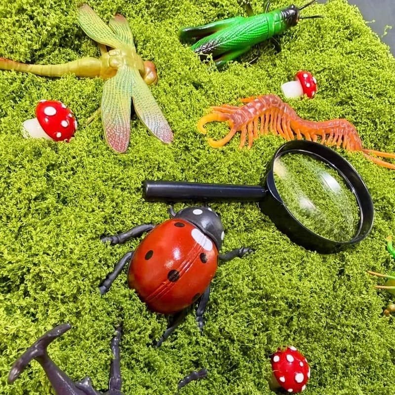 Cover Image for Wild Things Sensory Bins Playdate