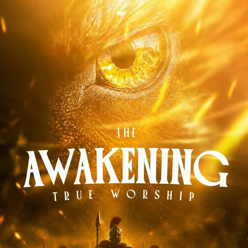 Cover Image for THE AWAKENING