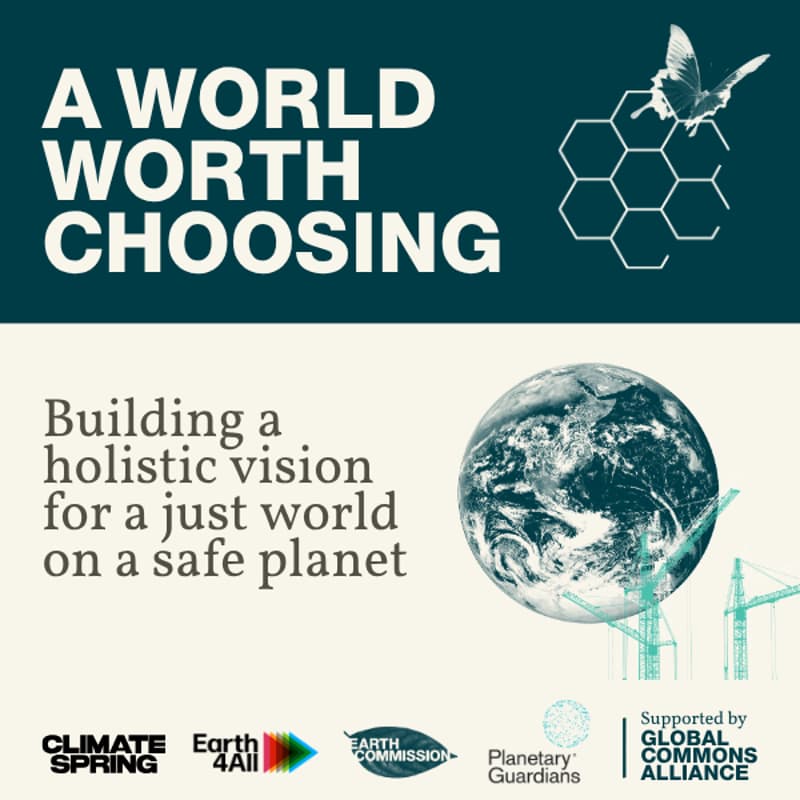 Cover Image for A World Worth Choosing - Building a Holistic Vision for a Safe and Just Future
