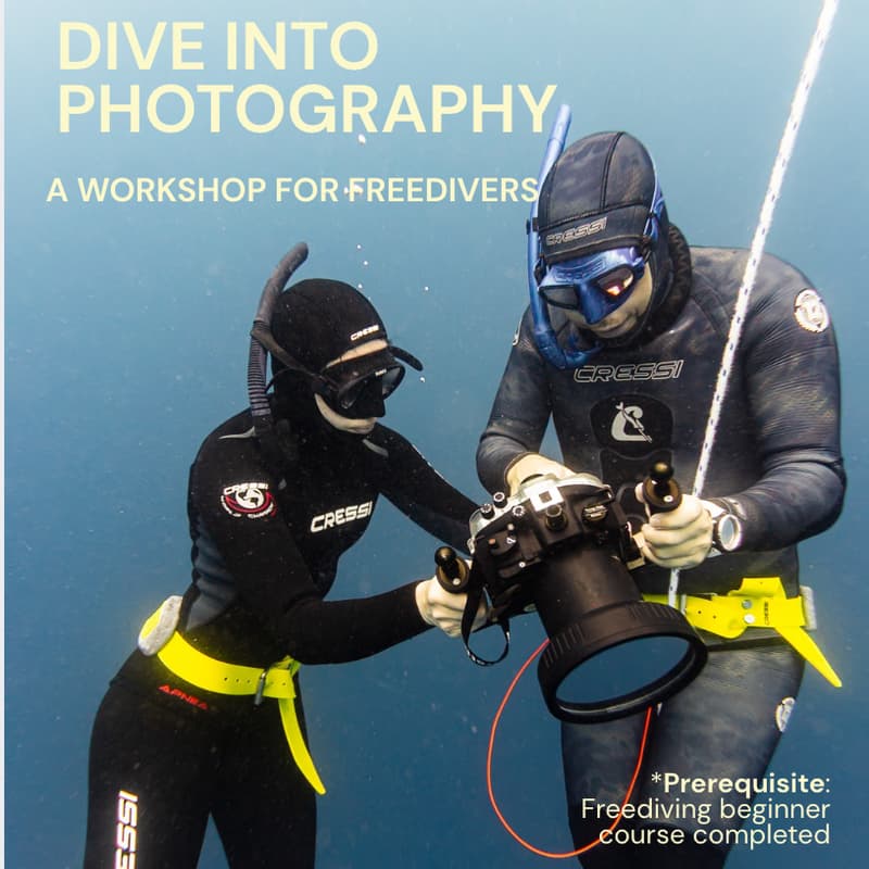 Cover Image for Underwater photography workshop - Special Freedivers
