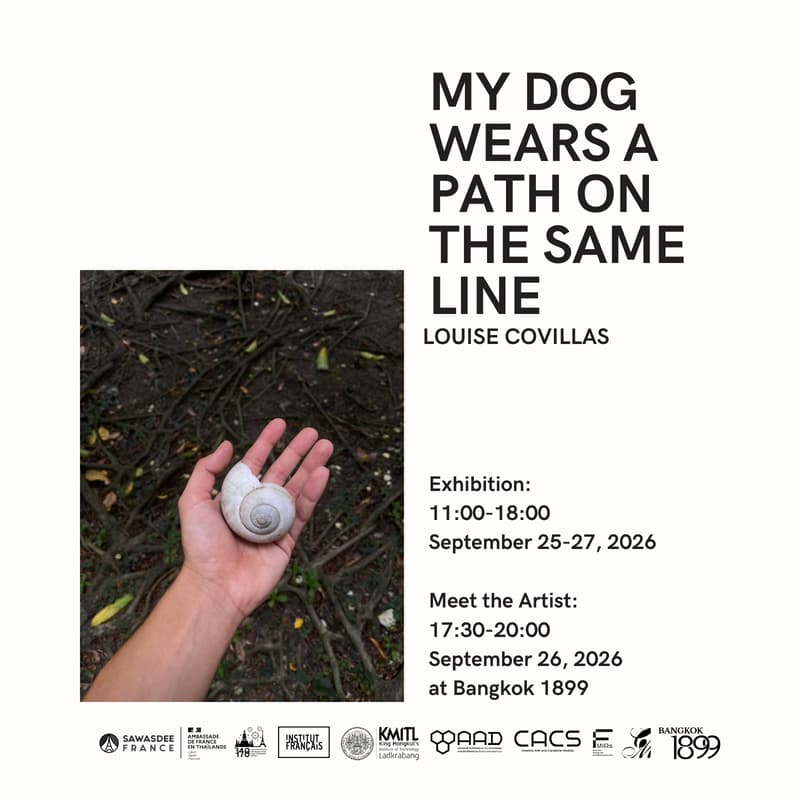 Cover Image for My dog wears a path on the same line by Louise Covillas - Meet the Artist
