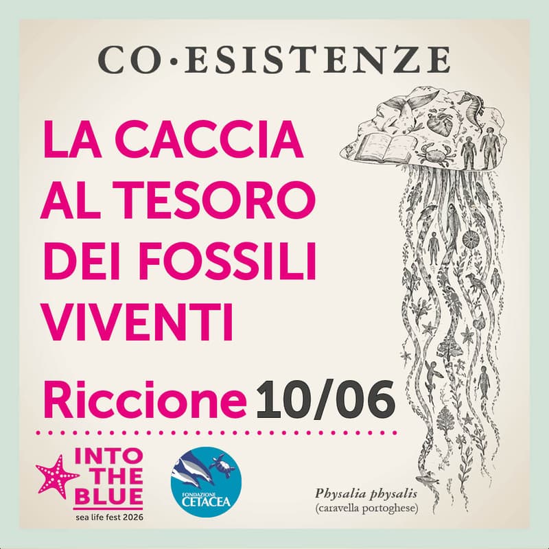 Cover Image for La caccia al tesoro dei Fossili Viventi. Laboratorio per bambini