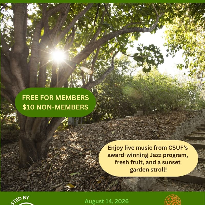 Cover Image for Evening Stroll: After Hours at the Arboretum