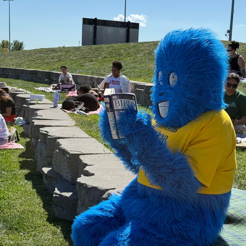 Cover Image for Pages In The Park