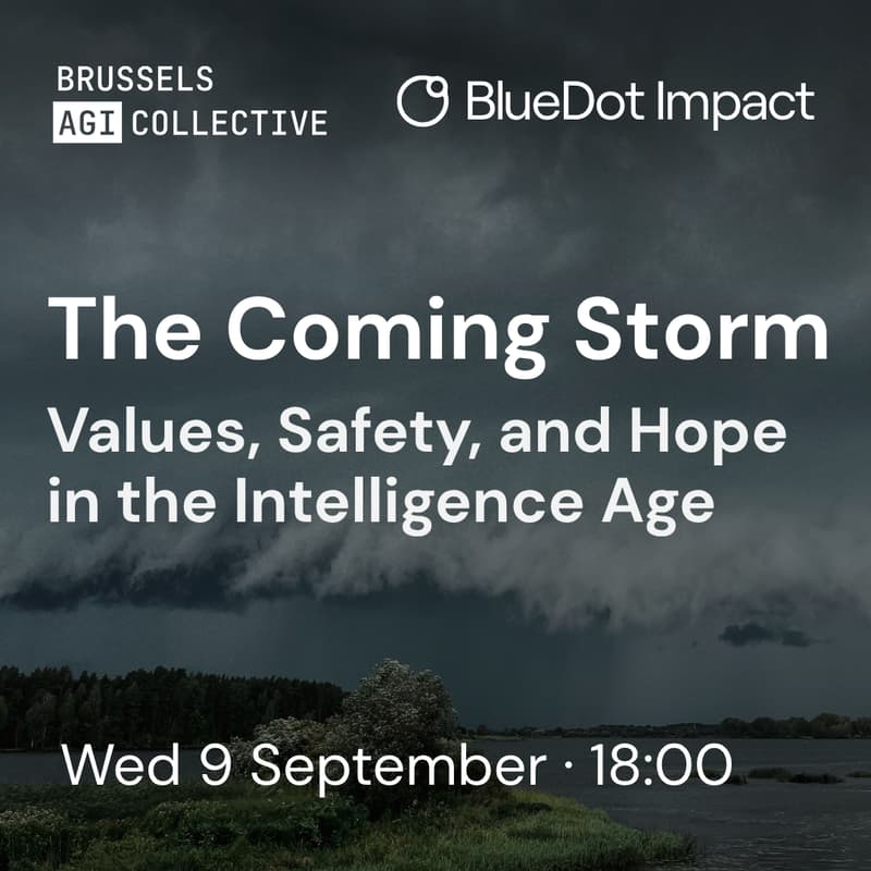Cover Image for The Coming Storm: Values, Safety, and Hope in the Intelligence Age (Brussels AGI Collective)