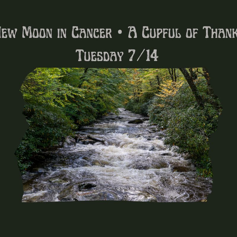 Cover Image for Cancer New Moon • A Cupful of Thanks