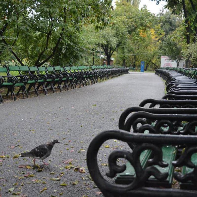 Cover Image for TURA x Ideas Chat!, prima Tură de parc unde wantreprenorii se întâlnesc cu antreprenorii, Cișmigiu