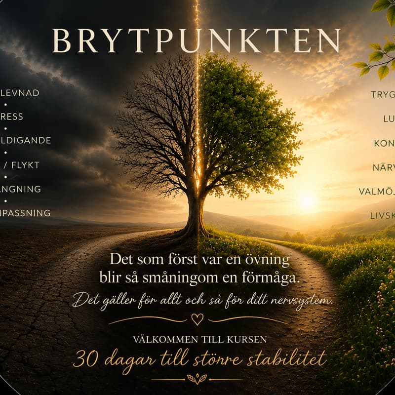Cover Image for Din Vagusnervoch stressrespons