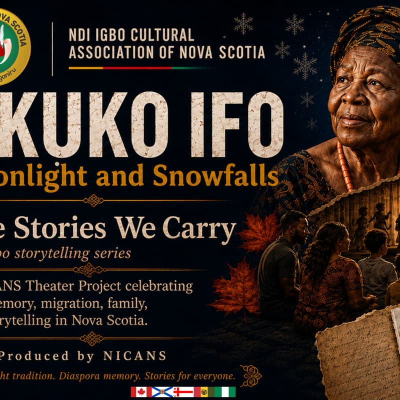 Cover Image for Akụkọ Ifo: Moonlight and Snowfalls - The Stories We Carry