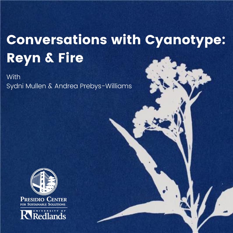 Cover Image for Conversations with Cyanotype: Reyn & Fire