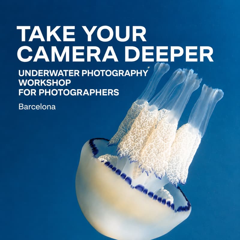 Cover Image for Underwater photography workshop for Photographers