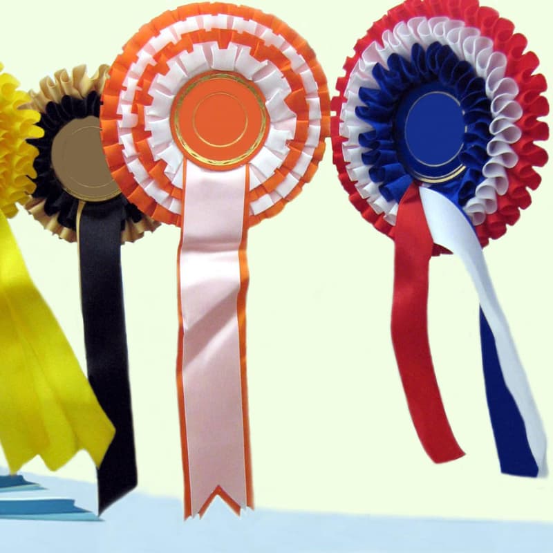 Cover Image for Resistance Rosettes with Indoor Recess and The Button Boys