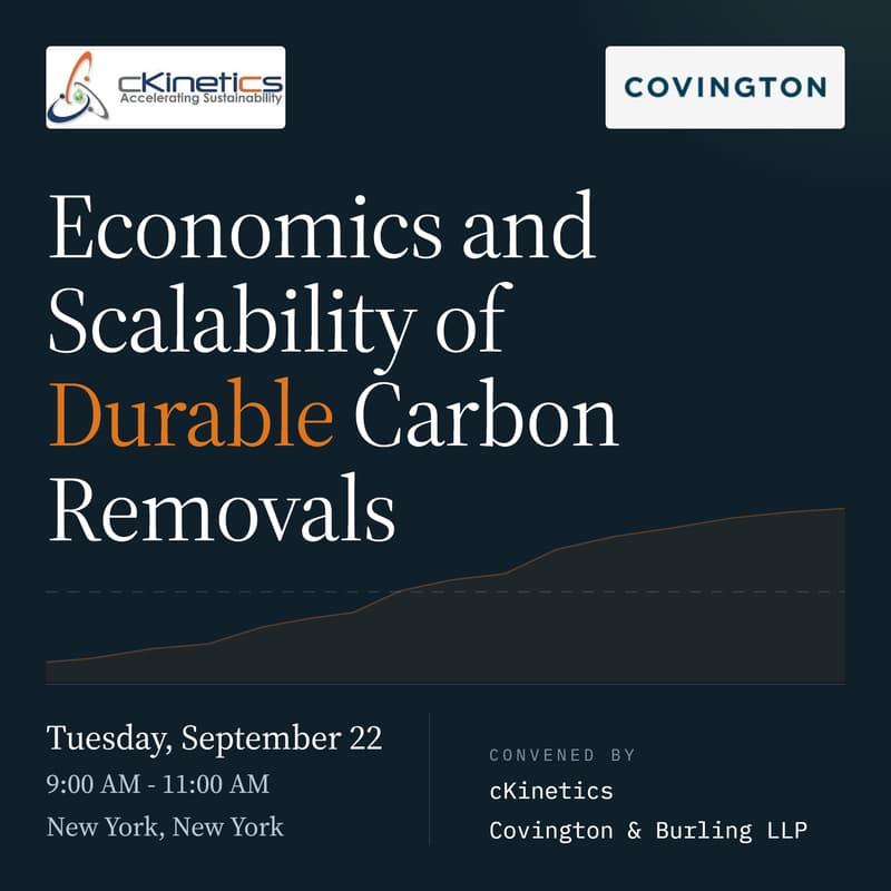 Cover Image for Economics and Scalability of Durable Carbon Removals