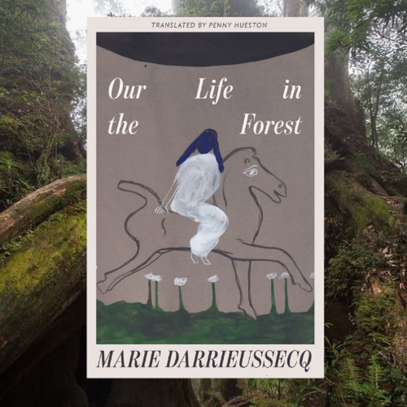 Cover Image for Baba's Book Club: Session #1 (Our Life in the Forest - Marie Darrieussecq)