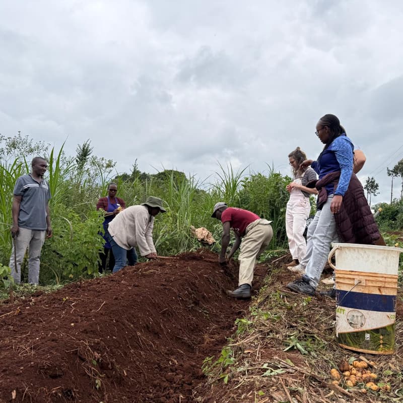Cover Image for Permaculture Course, 2 - Day - with Kagwe