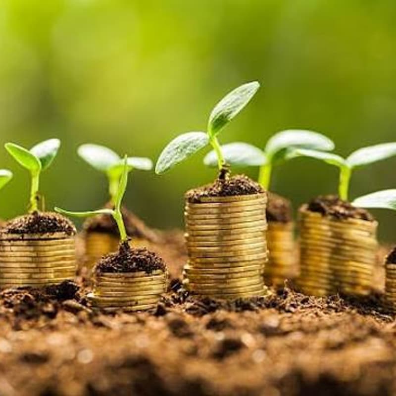Cover Image for Finanzas 2.0: ¿Qué viene después del financiamiento sostenible?