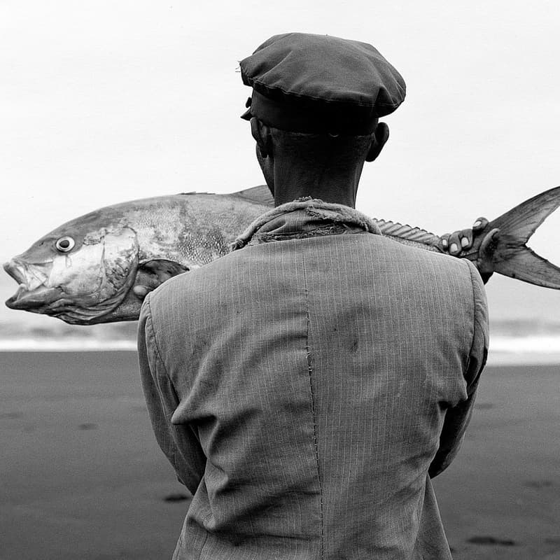 Cover Image for Foto Colectania "Emancipations" - Exhibition Tour