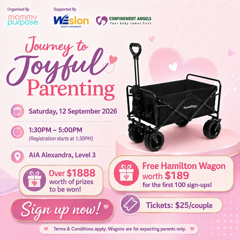 Cover Image for Journey to Joyful Parenting