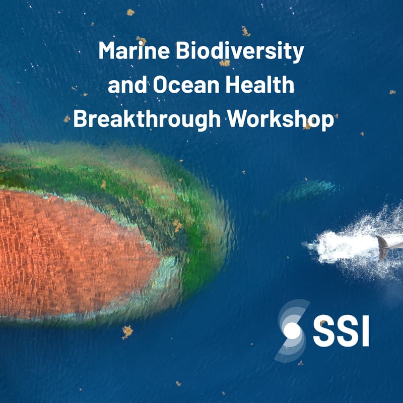 Cover Image for Marine Biodiversity and Ocean Health Breakthrough Workshop