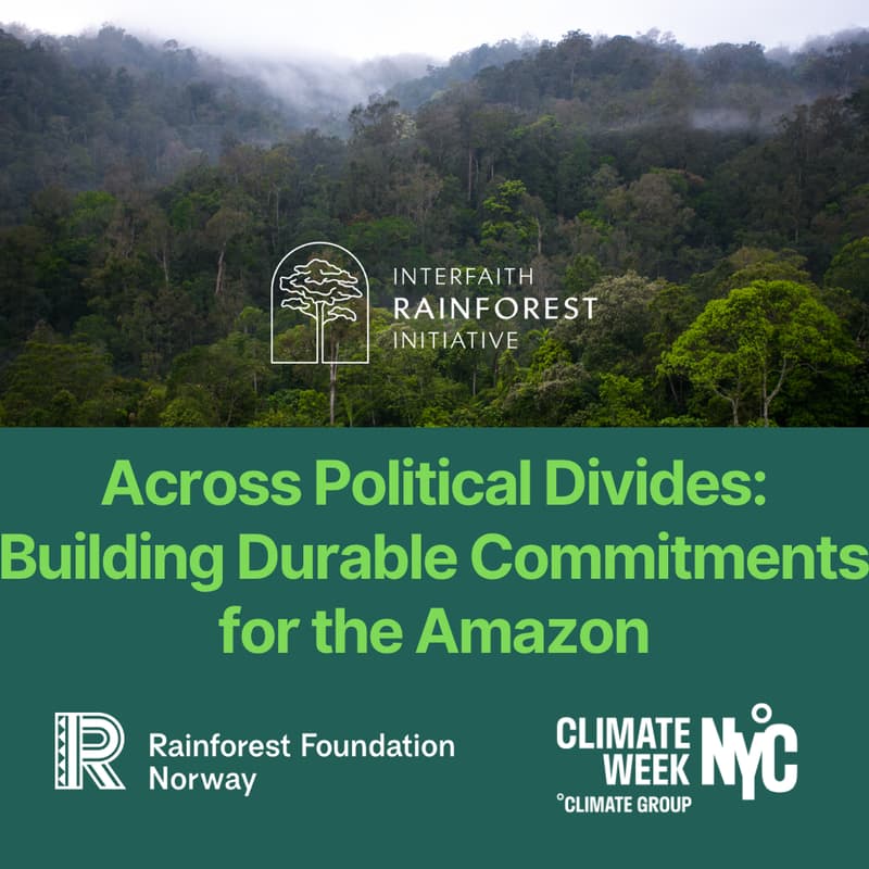 Cover Image for Across Political Divides: Building Durable Commitments for the Amazon
