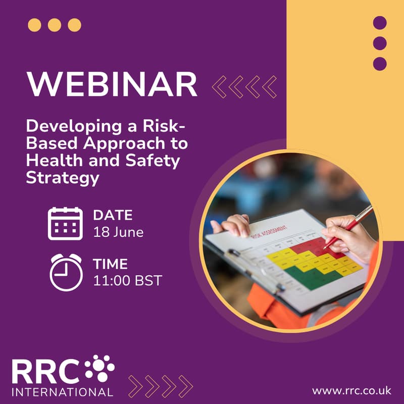 Cover Image for Developing a Risk-Based Approach to Health and Safety Strategy