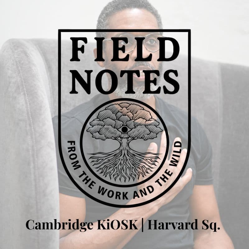 Cover Image for The Work No One Sees: A Public Field Note