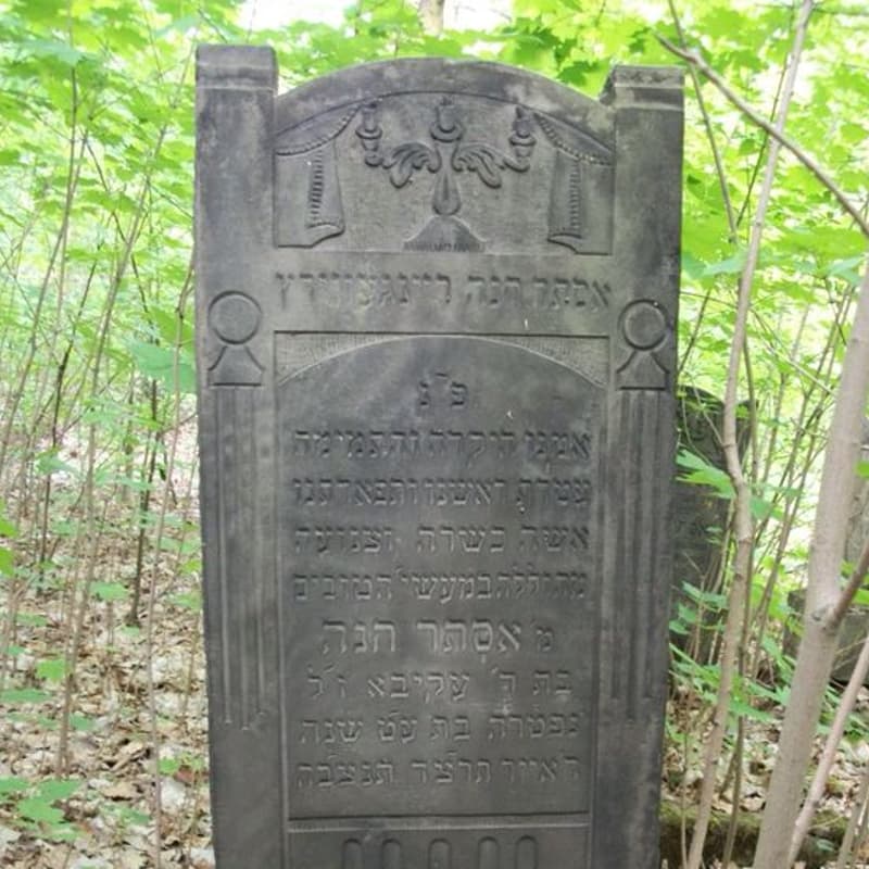 Cover Image for Back to the Garden: Jewish Burial and Cemetery as Sacred