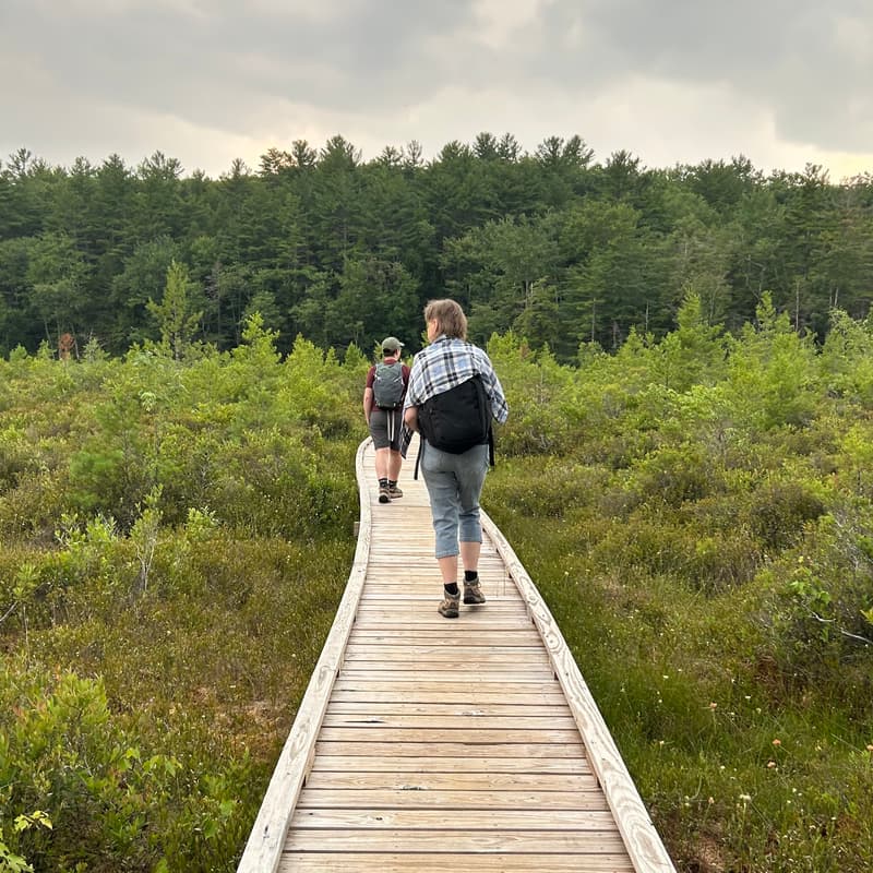 Cover Image for Thursday Night Hike 9/3 - Ashfield, Western Massachusetts