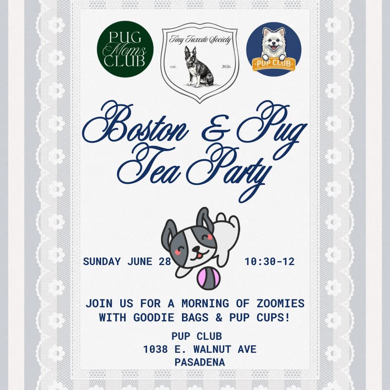 Cover Image for Boston & Pug Tea Party