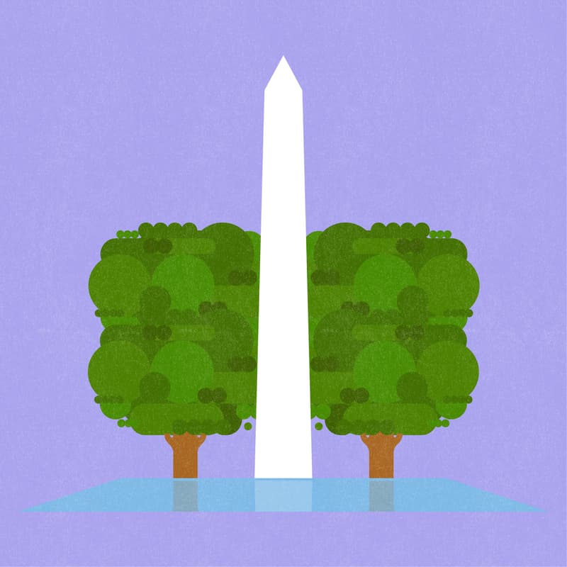 Cover Image for Maum Market DC
