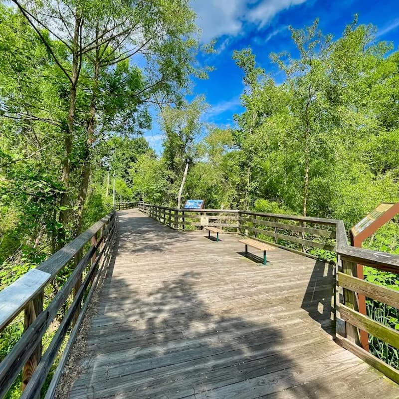 Cover Image for Creative Field Trip 5: Lake Roland Park