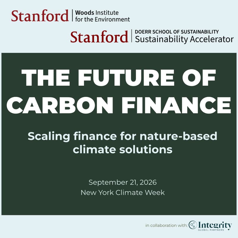 Cover Image for The Future of Carbon Finance: Scaling Finance for Nature-based Climate Solutions