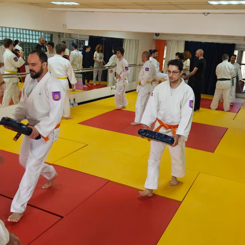 Cover Image for Krav Maga București, artă marțială de autoapărare: prima lecție pentru începători la Tineretului Dojo