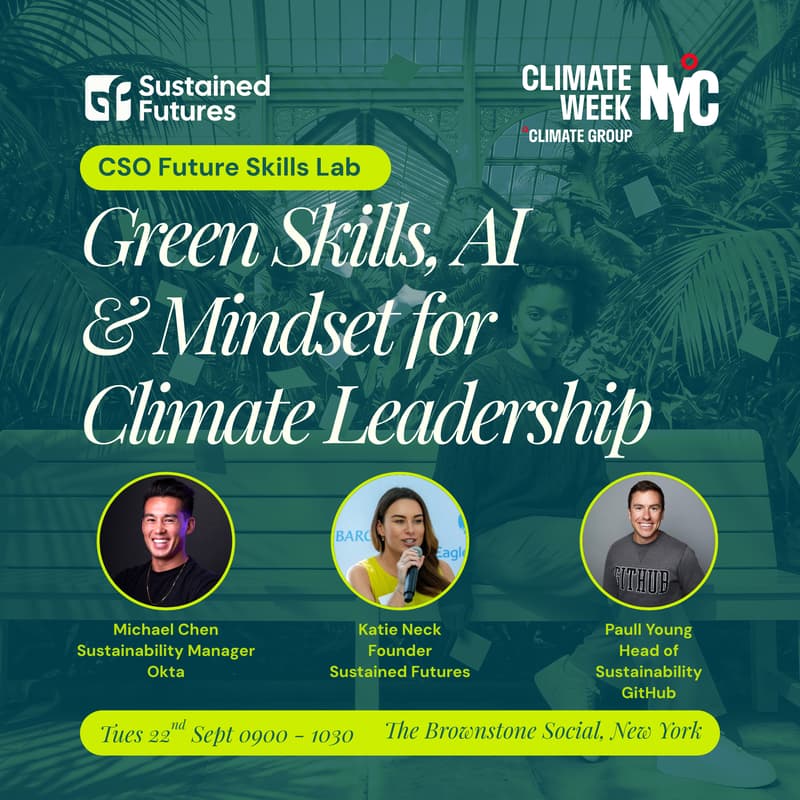 Cover Image for CSO Future Skills Lab: Green Skills, AI and Mindset for Climate Leadership