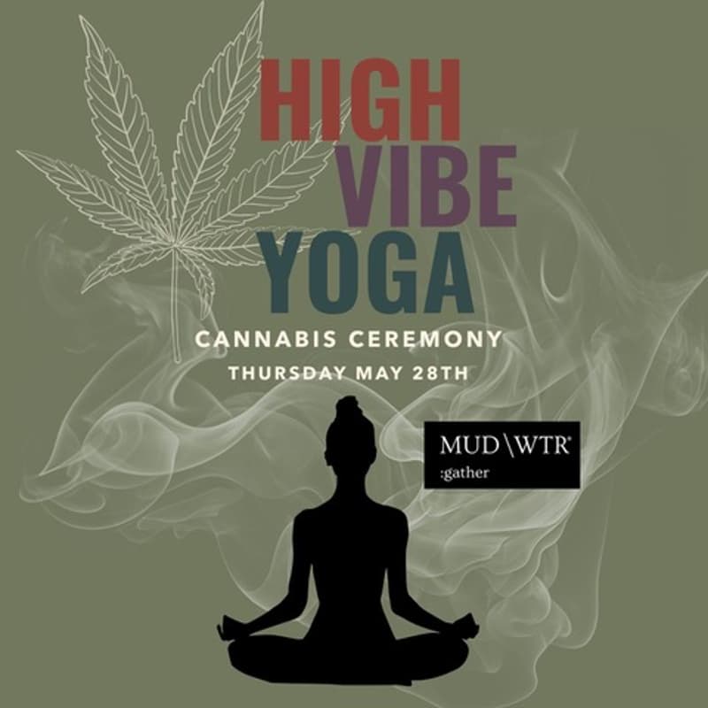 Cover Image for 🌿High Vibe Yin🌿