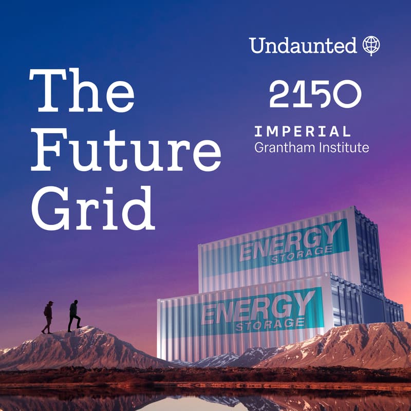 Cover Image for The Future Grid: Undaunted & 2150